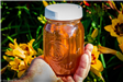 Local Raw Honey in Jar