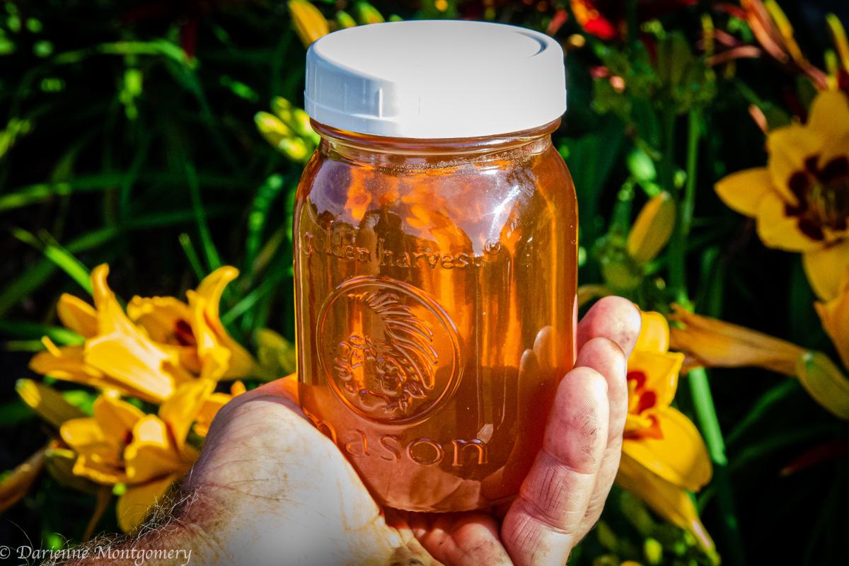 Local Raw Honey in Jar