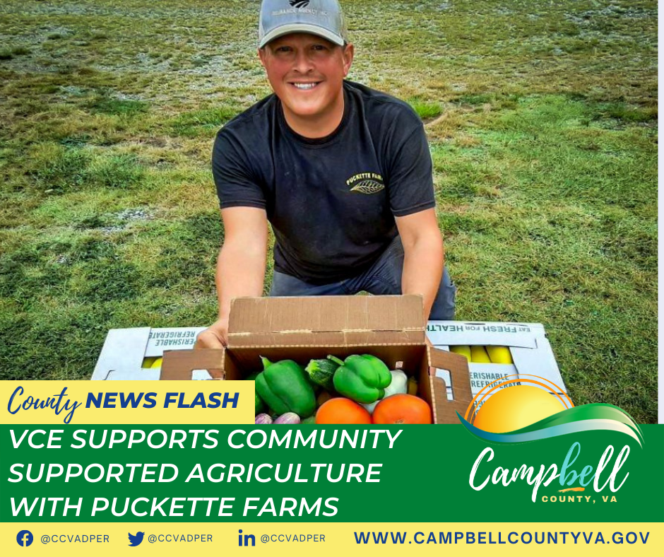 VCE - Puckette Farms